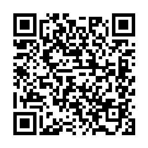 但我的淡淡笑着的表情却似乎并不能让韩子桐满意二维码生成