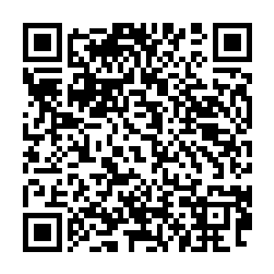 但我要提醒你的是的对线和发育能力即便是放在顶尖中单无数的ogn二维码生成