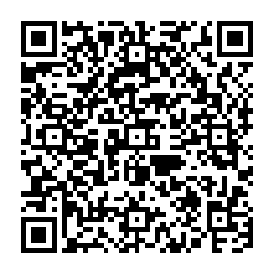 但所谓的领地部落子民也早不是以前意义上附庸在大酋长土地任大酋长决定生死的子民二维码生成