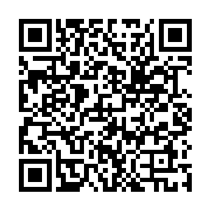 但握着守护之刀的那只手却是不自觉的多加了许多力气二维码生成