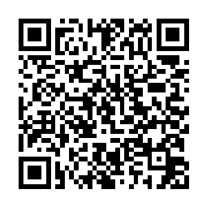 但文界中发生的一切都形成三十丈高的巨大光幕二维码生成