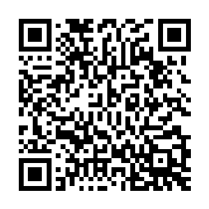 但既然主公大咧咧的当着大家的面让政务文书准备这样的委任状二维码生成