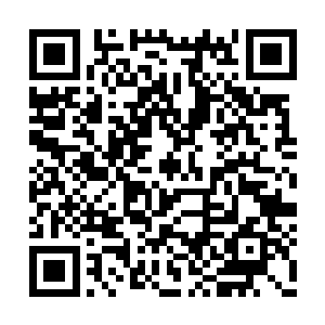 但是…如果再有什么不该发生的事情发生…林寒二维码生成