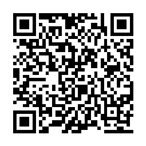 但是一下杀死这么多家族子弟……还真没有把握二维码生成