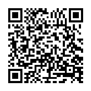 但是一个原本活生生的人你突然得知到了他们身死的消息二维码生成