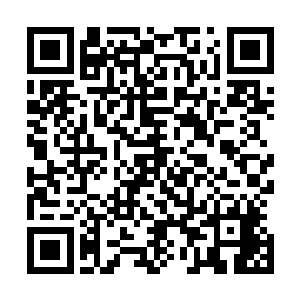 但是一个重要因素还是他们很善于在前期的感情联系和培养二维码生成