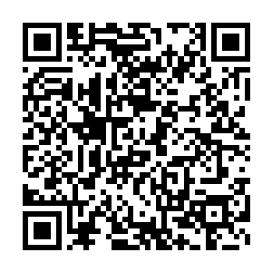 但是一具妖神和数十具妖皇的尸身依然足以将唐劫推到足够的高度二维码生成