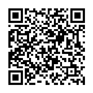 但是一向不以速度见长的原辰飞如今却飞得比他快二维码生成