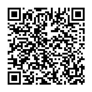 但是万法峰上去的五个真传弟子竟然没有一人是凌一剑的十合对手二维码生成