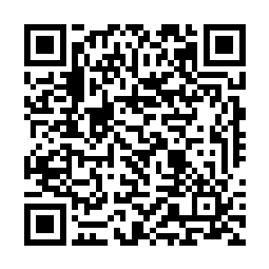但是下一刻却是看到放在自己枕边的毛巾之类的东西二维码生成
