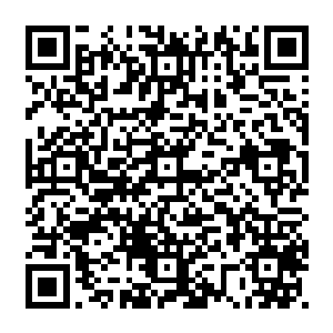 但是下边的工作人员还是一丝不苟的从市场调研到立项条件等诸多方面进行了评估二维码生成