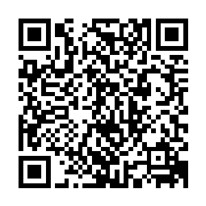 但是不成想琴瑟色在明白她的日子的倒计时的时候就放飞自我了二维码生成