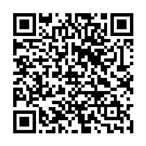 但是两个如此强横的战士碰面是一种什么样的情况二维码生成