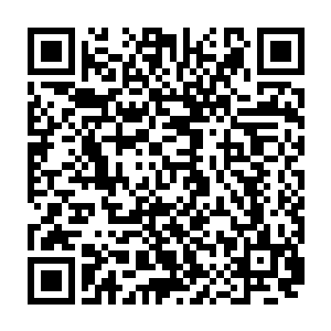 但是之前势如破竹的西陵大军却再也没能如上次一般踏入信阳城的城门一部二维码生成