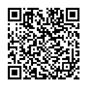 但是之前谁也没有想到两条海豚竟然已经提前潜伏在了水底二维码生成