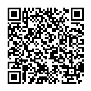 但是从来都没有在学院或者是学院以外的地方见过校长的真正面目二维码生成