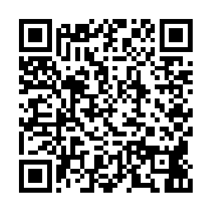 但是他们两个给众人造成的震撼丝毫不下于吟月二维码生成