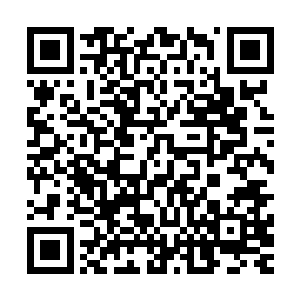 但是他们两人是被季疏云按住了身上的穴位暂时性的神经麻痹二维码生成