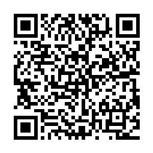 但是他们就是不信李强真能做出将他们全部海扁一顿的做法出来二维码生成