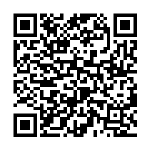 但是他们的祖先的确都是妖族和凡人结合生产的后代二维码生成