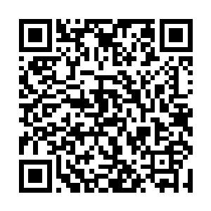 但是他依旧用皮盾护着身子发狂一般的向瞎药冲过去二维码生成