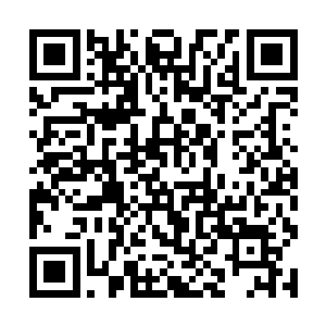 但是他却明白或许蒂姆・库克做出的决断才是正确的二维码生成