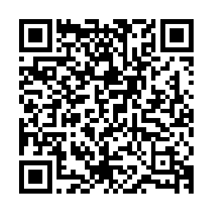 但是他身上的那股淡淡的薄荷清凉的味道让夏嫣然确定了就是他二维码生成