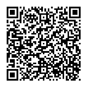 但是你蓝岛市政府没有责任市委副书记兼市长的你没有一点监督和制约的责任显然不是二维码生成