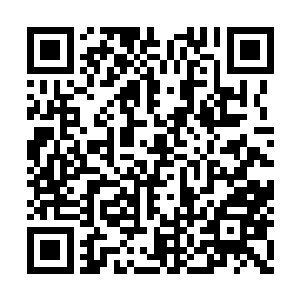 但是凤儿耗损大量生命力所造成的影响已经造成二维码生成