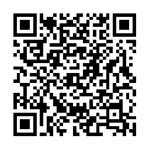 但是刚才火龙王的表现让龙傲天对他的好感大大的增加二维码生成