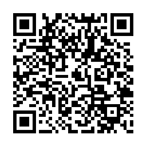 但是刚才许德拉的表现他发现也好像不是说谎话二维码生成