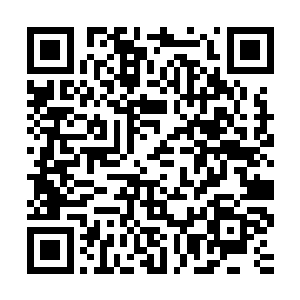 但是到现在丁长生也不不知道孙琦和孙传河真正的落脚点在哪里二维码生成