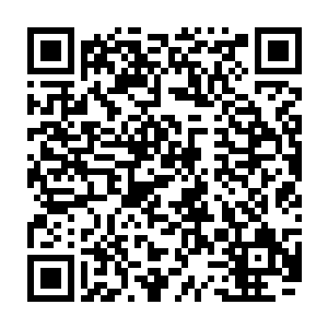 但是前面那两个被人撕碎和残忍杀死的荒原赏金猎手的尸体却不会有问题二维码生成