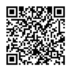 但是即使知道暖玉他们对待自己和白面不会那么疏离了二维码生成