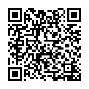 但是却喜欢这里面飞扬的激情和何尔蒙碰撞的火热二维码生成