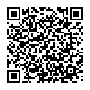 但是却没有仔细的查看趁着这个机会龙傲天也好好的整理一下这次的收获二维码生成