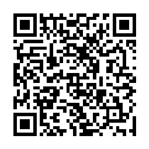 但是却没有找到任何一种仙丹需要这三种材料共同使用二维码生成