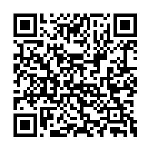 但是叶璃却明白一旦为了重地大肆砍伐树林树林二维码生成