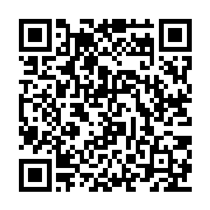 但是同时……上古气修跟其他修者有很大的区别二维码生成