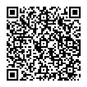 但是同样的那至阴至寒的气体和那一成死气也在炼化着白纹赤阳丹释放出来的灵力二维码生成