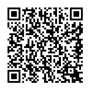 但是同样装扮不差的叶琳和叶珊到了叶莹跟前活脱脱的就成了陪衬二维码生成