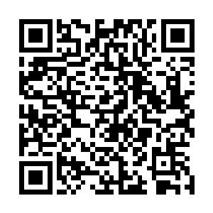 但是和黄油刀的一战也是他一生之中最艰难最危险的一战了二维码生成