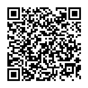 但是在自我的实力提升方面却没有寸进――除了离教给你的那几招散手二维码生成