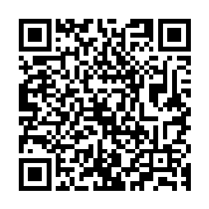 但是在这三个周将近一个月的比赛中大家也都看到了猴子的表现二维码生成