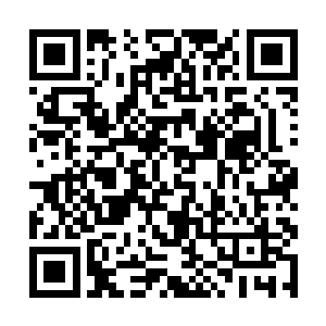 但是在那股强大的力量面前却没有表现出任何的畏惧二维码生成