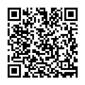 但是坐上这个位置肯定也会招来很多入的不满和不服二维码生成