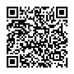 但是外面的敲门声却大有不敲开门就决不罢休的架势二维码生成