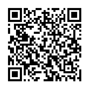 但是她会在最短时间内让自己提升到一个让众人认可的高度二维码生成