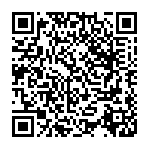 但是她的身体之中却没有自己先前在进入古楼前拍下一掌所留的精神印记二维码生成