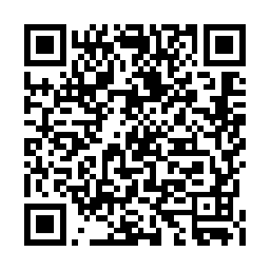 但是如果你指望靠着这个一辈子赖在我们家的话二维码生成